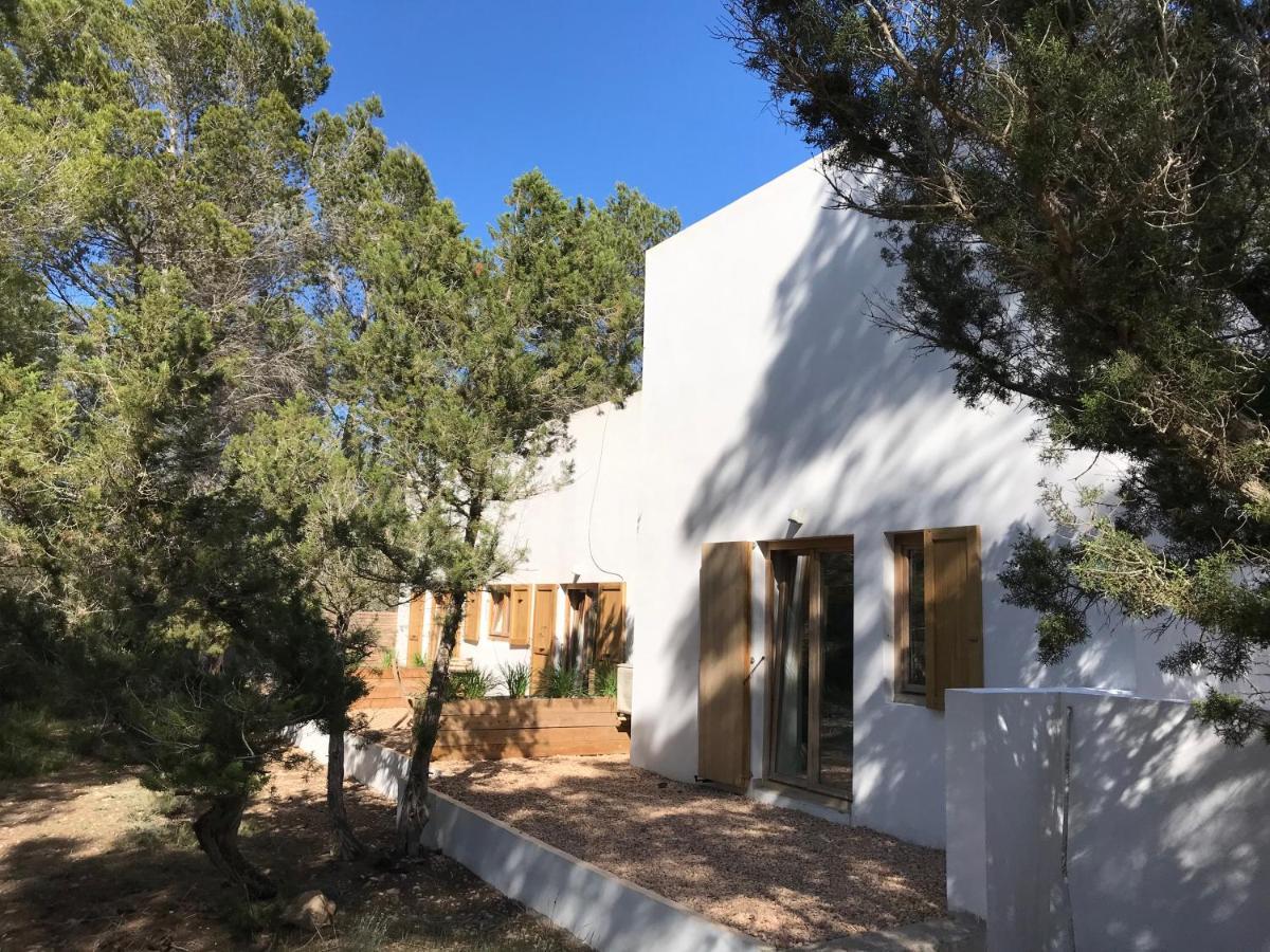 Villa Feliz Lagartija Cala Saona Exterior foto