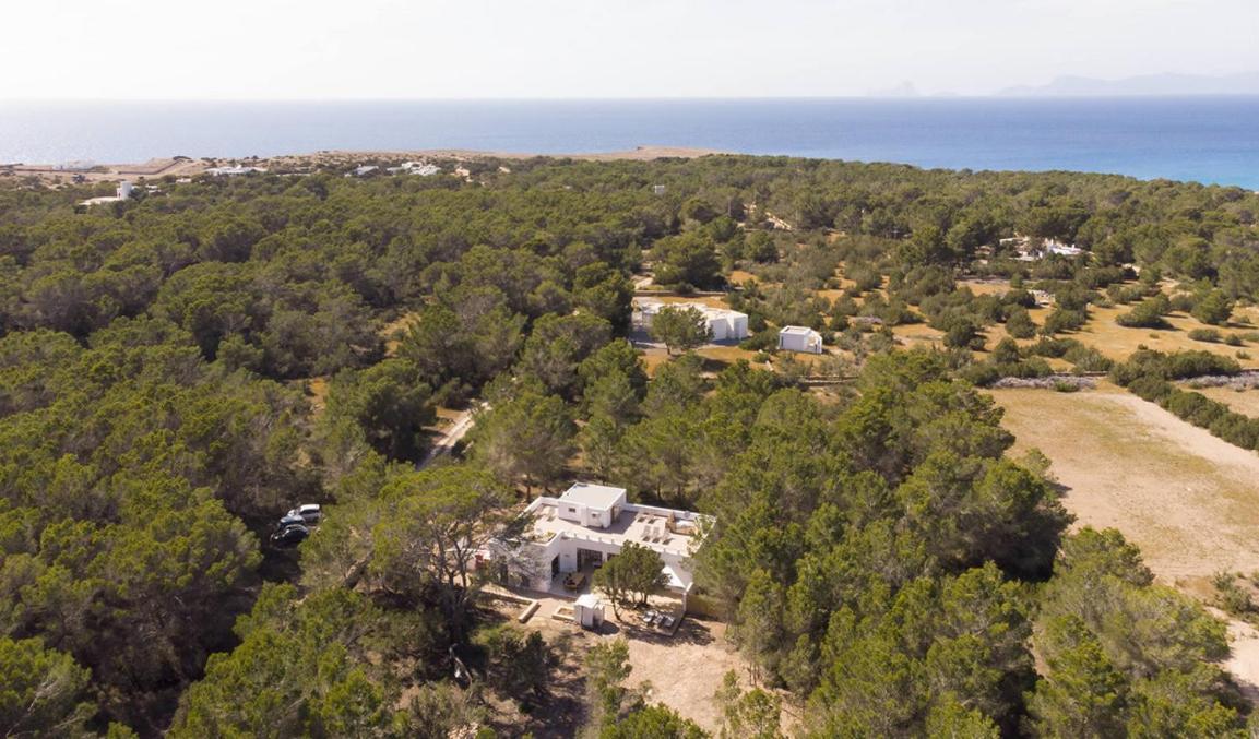 Villa Feliz Lagartija Cala Saona Exterior foto